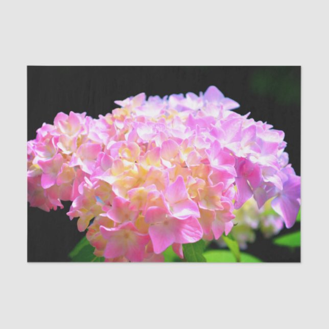 Pink purple orange hydrangeas tissue paper (Front)