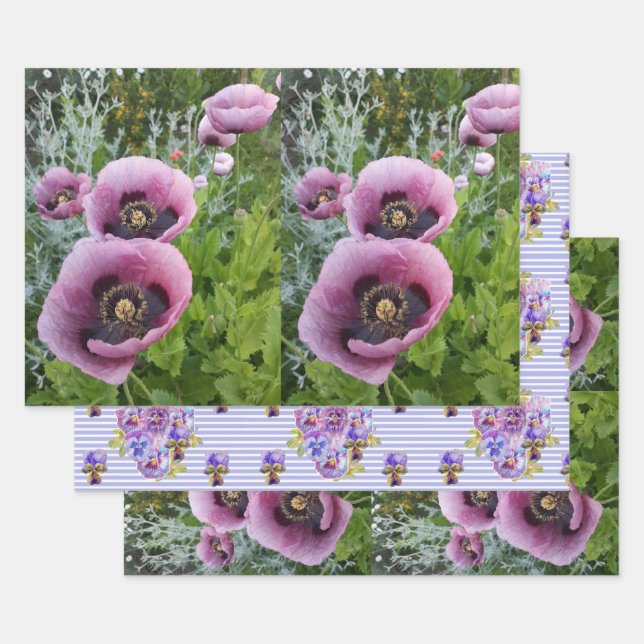 Pink Purple Poppies Mauve Purple Flower Gift  Wrapping Paper Sheet (Set)
