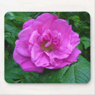 pink, purple rose flower mouse pad