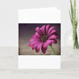 Pink Purple Vines Flowers Blossoms Love Peace Art Card