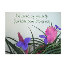 Pink Quill Plants Postcard