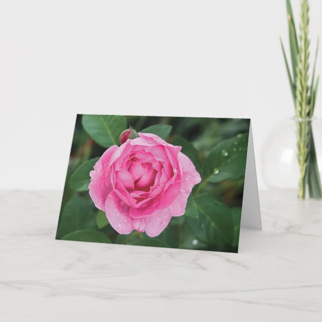 Pink Raindrops Card (Front)