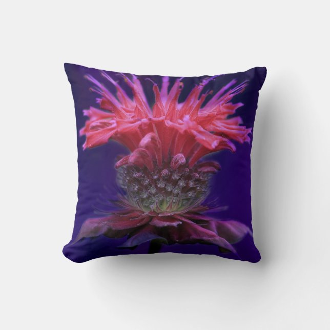 Pink Raspberry Wine Bee Balm Flower on Purple Cushion (Front)