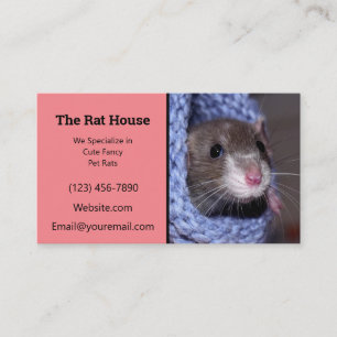 Pink Rat Breeder Rattery Business Card