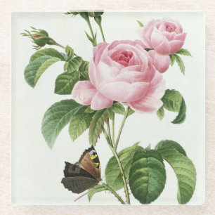 Pink Redoute Rose Glass Coaster