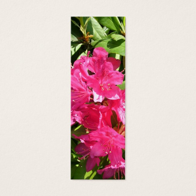 pink rhododendron and blue iris (Front)
