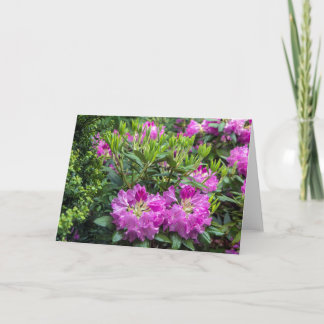 Pink Rhododendron Blank Note Card
