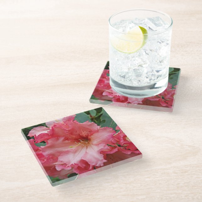 Pink Rhododendron Bloom Floral Glass Coaster (Angled)
