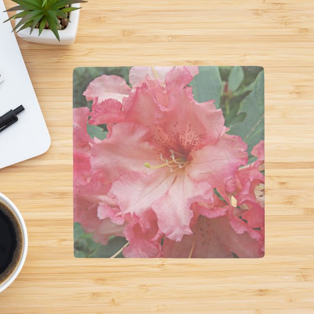 Pink Rhododendron Bloom Floral Stone Coaster (In Situ)