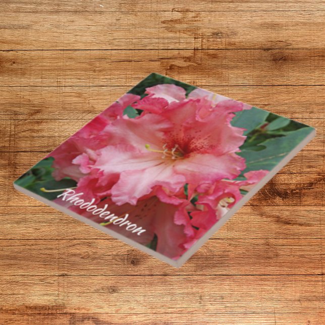 Pink Rhododendron Bloom Floral Tile (In Situ)
