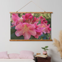 Pink Rhododendron Blooms Floral