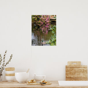 Pink Rhododendron Blooms Water Reflection Poster