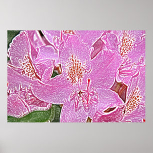 Pink rhododendron blossom poster