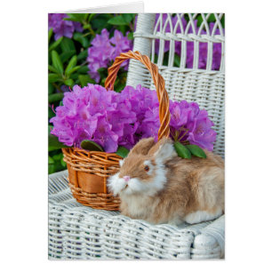 pink rhododendron bouquet and bunny on chair