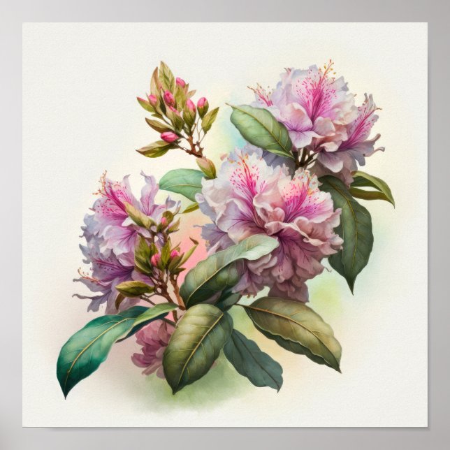 Pink Rhododendron Flowers Art Print Poster (Front)