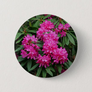 Pink Rhododendron Flowers Badge