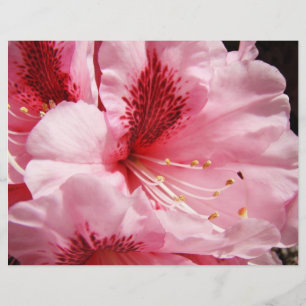 Pink Rhododendron Flowers Custom Flyers paper