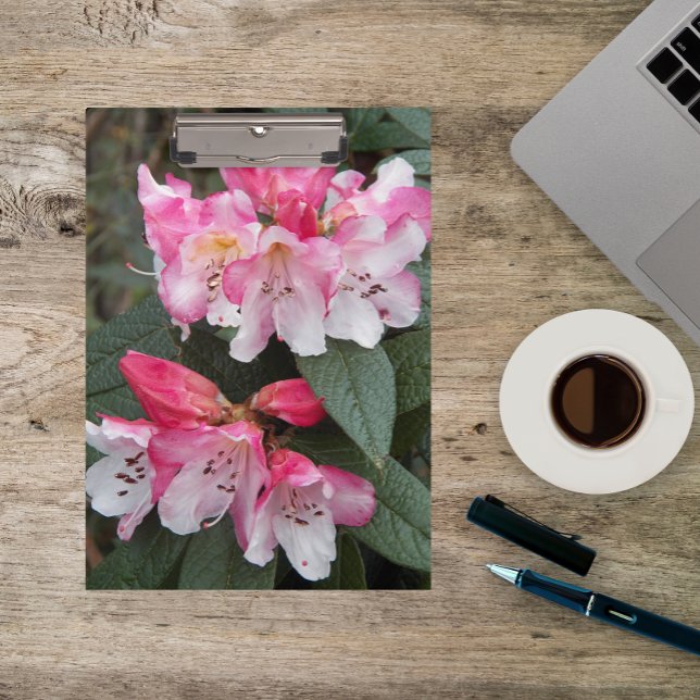 Pink Rhododendron Flowers Floral Clipboard (In Situ)