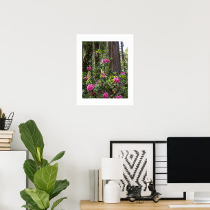 Pink Rhododendron in a Forest Floral Photographic  Poster