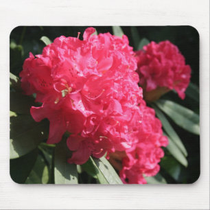 Pink Rhododendron Mouse Pad