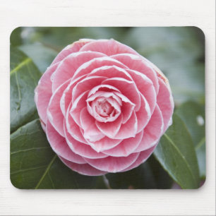 Pink Rhododendron Mousepad