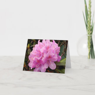 Pink Rhododendron note card