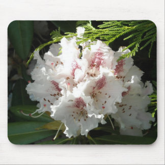 Pink Rhododendron Photo Mouse Pad