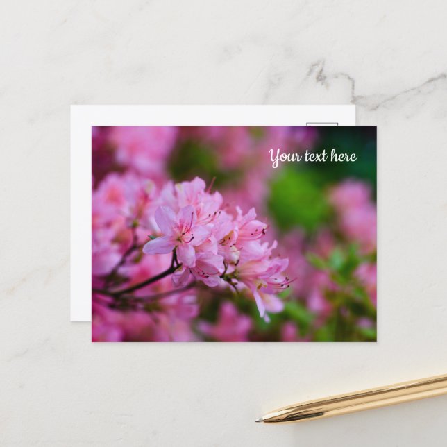 Pink Rhododendron Postcard (Front/Back In Situ)