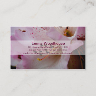 Pink Rhododendron Rosa Rhododendron Business Card