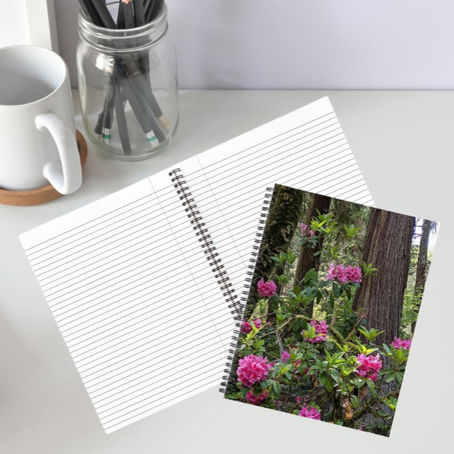 Pink Rhododendrons in a Forest Floral Notebook (In Situ)