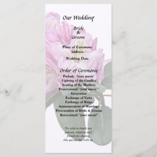 Pink Rhododendrons Programme