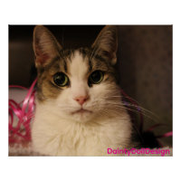 Pink Ribbon Edition: Dainty Doll in Soft Portrait