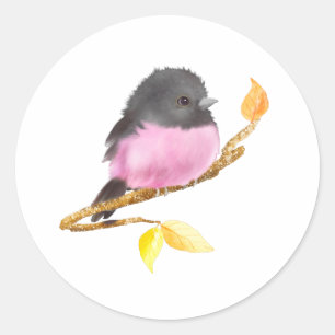 Pink Robin Bird Sticker