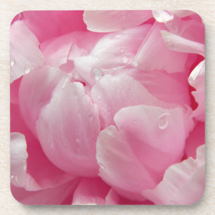 Pink romance blooming peony flower with dew drops coaster