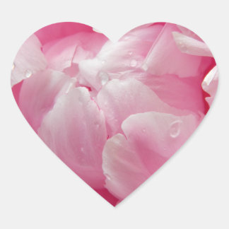 Pink romance blooming peony flower with dew drops heart sticker