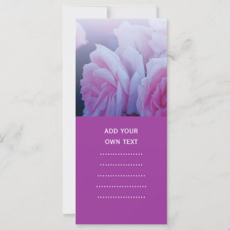 Pink romantic rose flowers