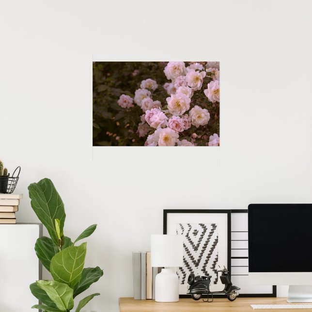 Pink romantic roses poster (Home Office)