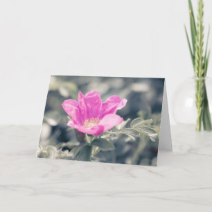 Pink Rosa Flower Note Card