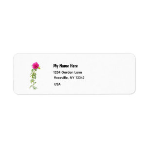 Pink Rose 