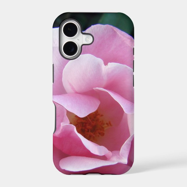 Pink Rose (Back)