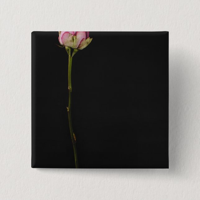 Pink rose 3 15 cm square badge (Front)