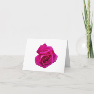 Pink Rose #5 Folded Greeting Card