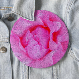 pink rose 6 cm round badge