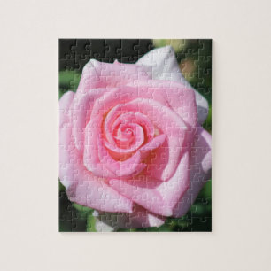 Pink Rose 8x10 Photo Puzzle with Gift Box