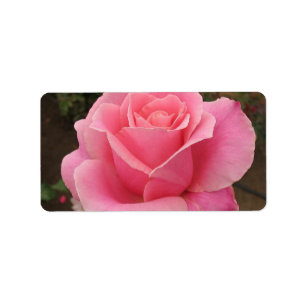 Pink Rose Address Label