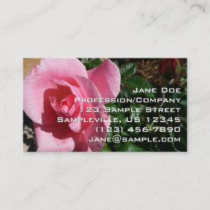 Pink Rose and Bud Business Card