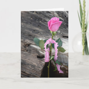 Pink Rose and Driftwood Thank You Card
