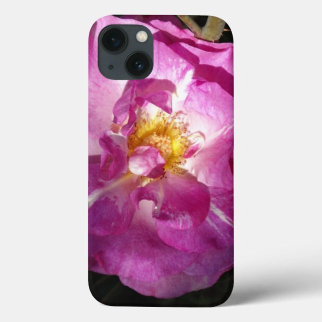 Pink Rose Apple iPhone 8/7, Barely There Case-Mate iPhone Case (Back)