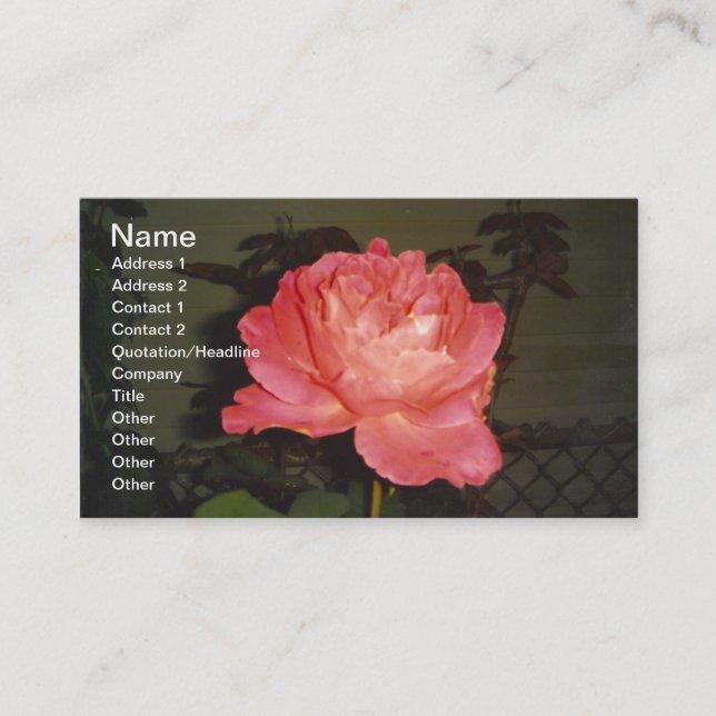 Pink Rose at Night Business Card (Front)