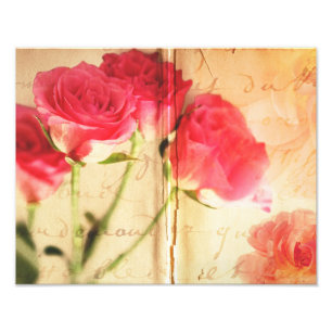 Pink Rose Background Collage Roses Flowers Photo Print